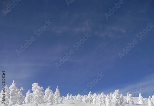 冬の風景　林立する樹氷 © misumaru51shingo