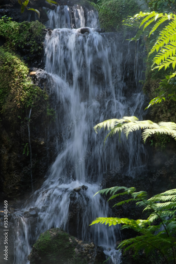 Obraz premium waterfall in the forest