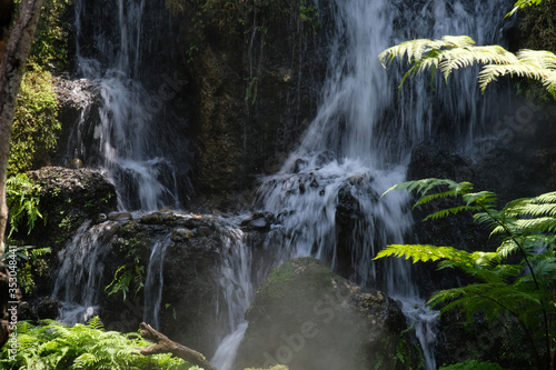 waterfall in the forest wallpaper background