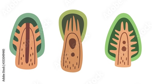 Cartoon folk art coniferous tree icon set, flat vector stock illustration. Forest woodland plants sticker, art print for nursery.