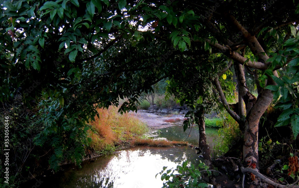 Beautiful View of a small Water channel for irrigation of small farms Beautiful View of a small Water channel for irrigation of small farms