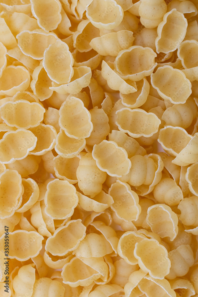 Background of uncooked pasta Conchiglie. Dry pasta in the shape of shells. Background of uncooked pasta Conchiglie. Dry pasta in the shape of shells.