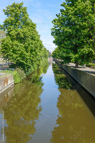 Canal with reflection of trees, housesin background in the Hague, the Netherlands