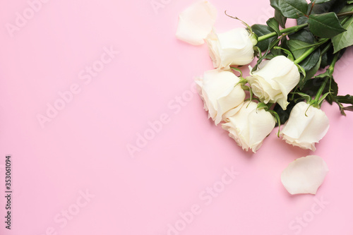Beautiful white roses on color background © Pixel-Shot