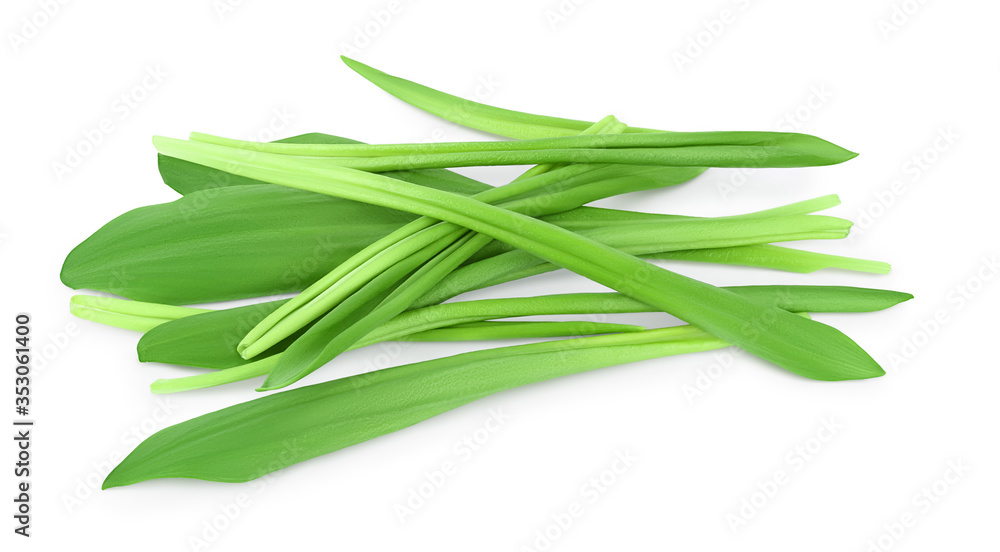 Fototapeta premium Ramson leaves isolated on white background with clipping path and full depth of field, Top view. Flat lay