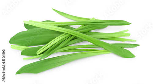 Ramson leaves isolated on white background with clipping path and full depth of field, Top view. Flat lay