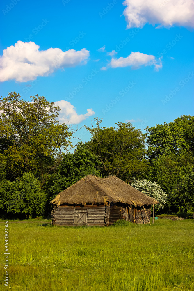 A large green field and straw roofs of Ukrainian style houses: village.