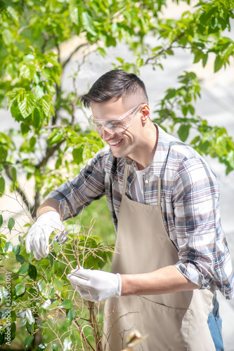 Delighted dark-haired male in protective glasses and gloves trimming tree outside