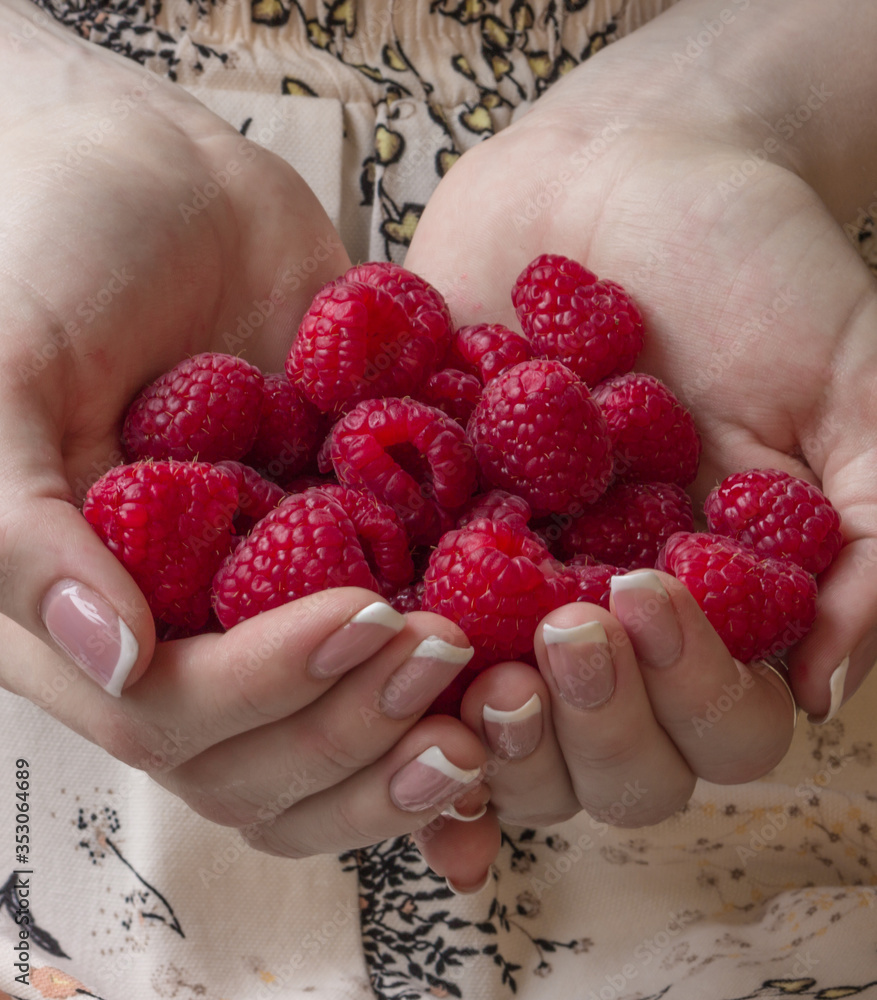 Girl holds fresh berries in her hands. Raspberries in the palms. Girl holds fresh berries in her hands. Raspberries in the palms.