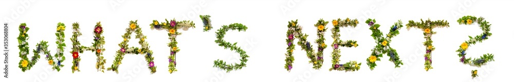 Flower, Branches And Blossom Letter Building English Word Whats Next. White Isolated Background