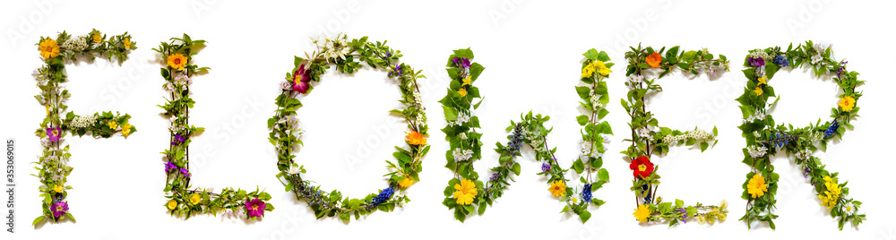 Flower, Branches And Blossom Letter Building English Word Flower. White Isolated Background