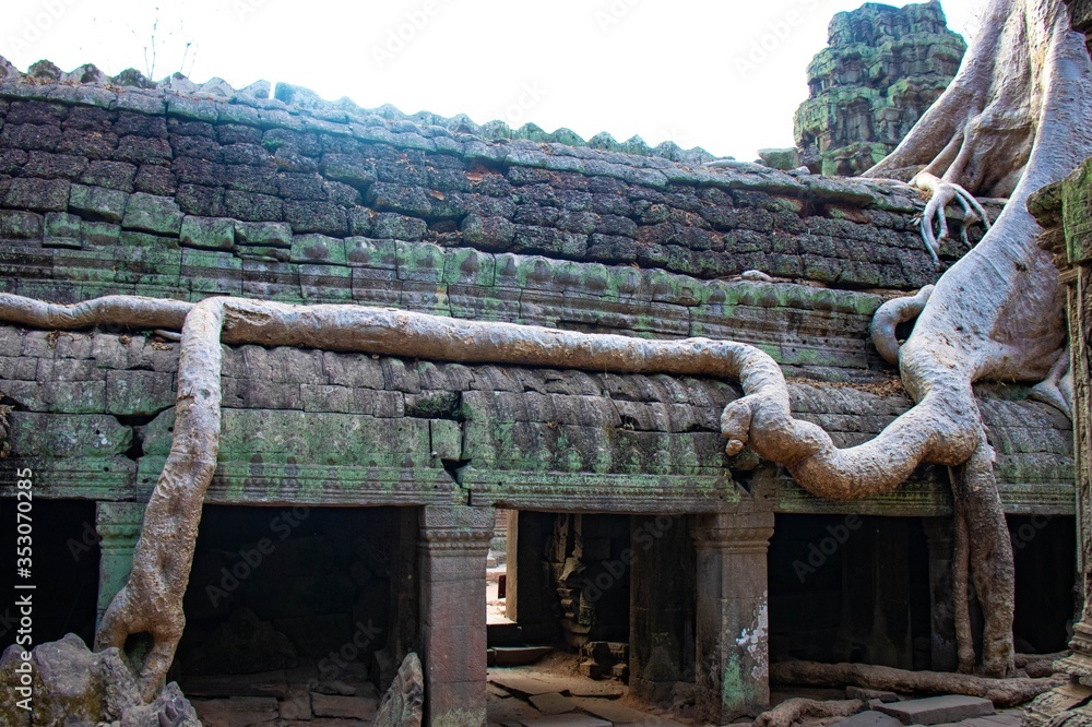 Naklejka premium A beautiful view of Ta Phrom temple at Siem Reap, Cambodia.