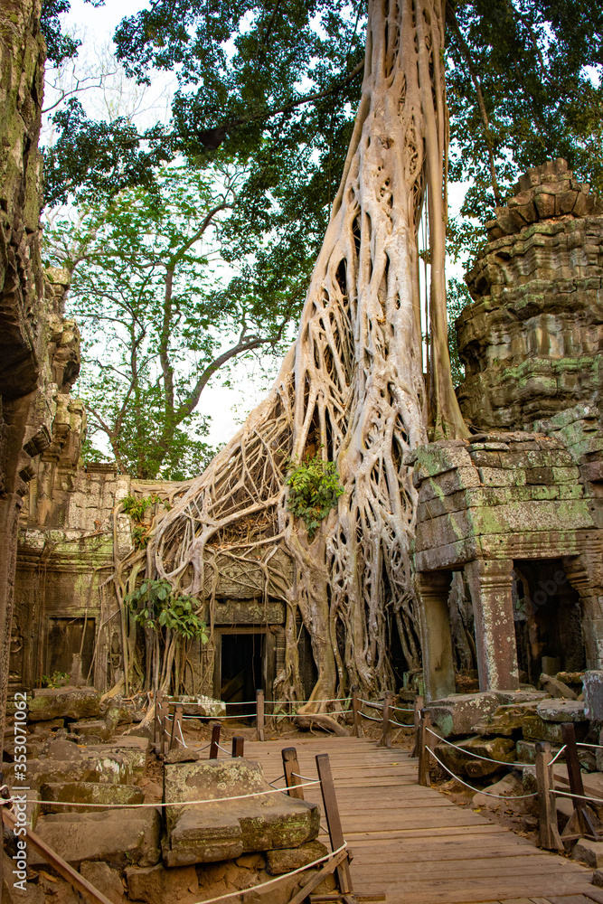 A beautiful view of Ta Phrom temple at Siem Reap, Cambodia.