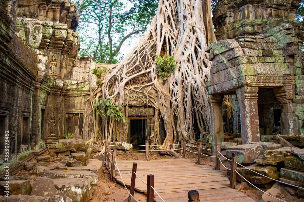 Naklejka premium Piękny widok na świątynię Ta Phrom w Siem Reap w Kambodży.