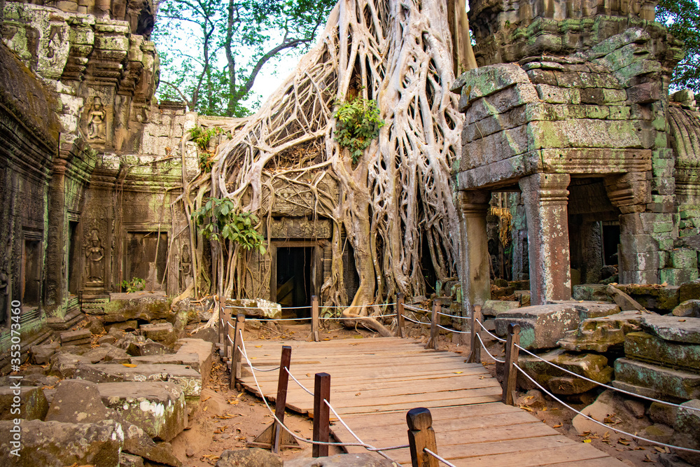 Fototapeta premium Piękny widok na świątynię Ta Phrom w Siem Reap w Kambodży.