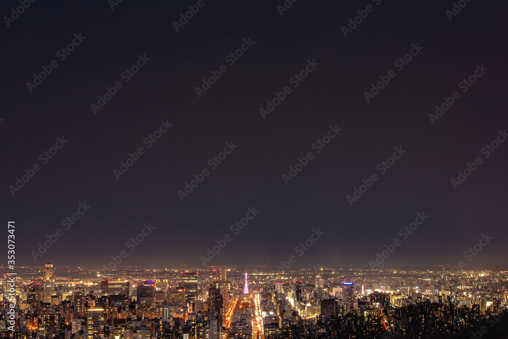 大倉山から見る札幌市夜景