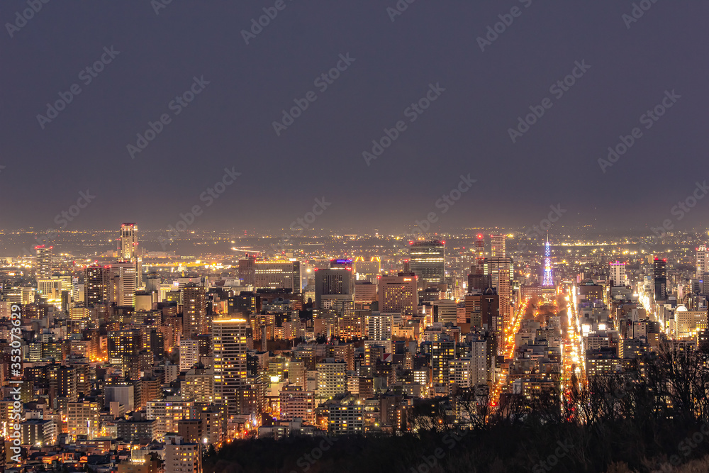 大倉山から見る札幌市夜景