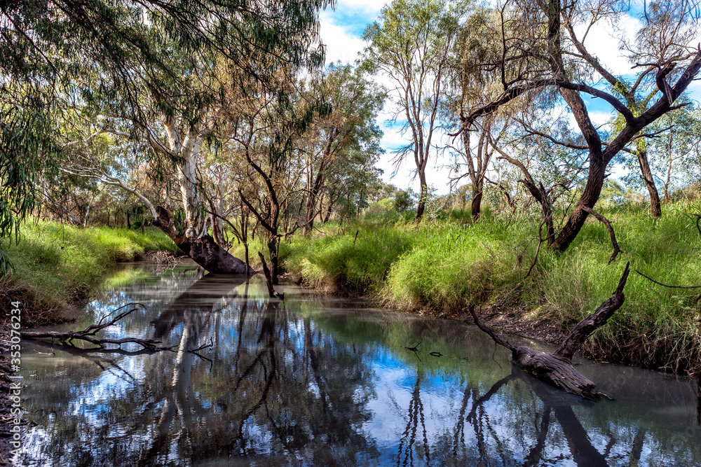 Creek through a grain farm in New South Wales, Australia.

