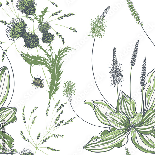 Seamless pattern of plantain with flowers and leaves on white background.
