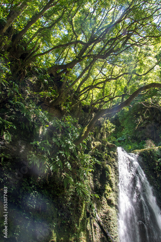 walk and discover the prego salto waterfall on the island of sao miguel  azores