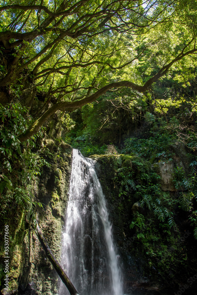 walk and discover the prego salto waterfall on the island of sao miguel, azores