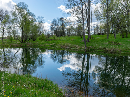 spring landscape with tree silhouettes, green grass and a small pond, reflections of clouds and trees in the water
