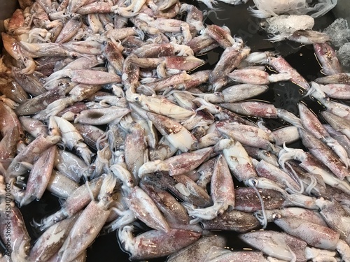 Fresh raw squid sells at market