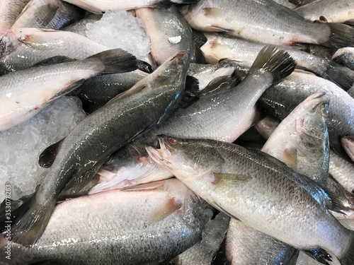 Raw Seabasses on Ice in the Market