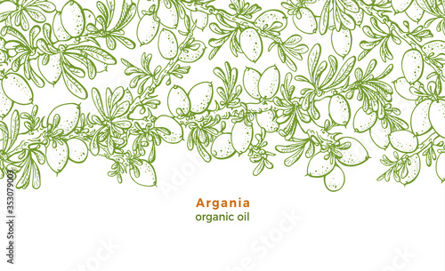 Argan tree. Vector pattern. Bio food, organic oil.