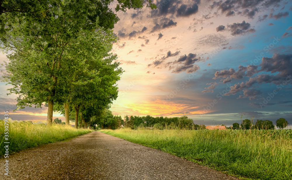 A body of water with grass and trees. High quality photo A body of water with grass and trees. High quality photo
