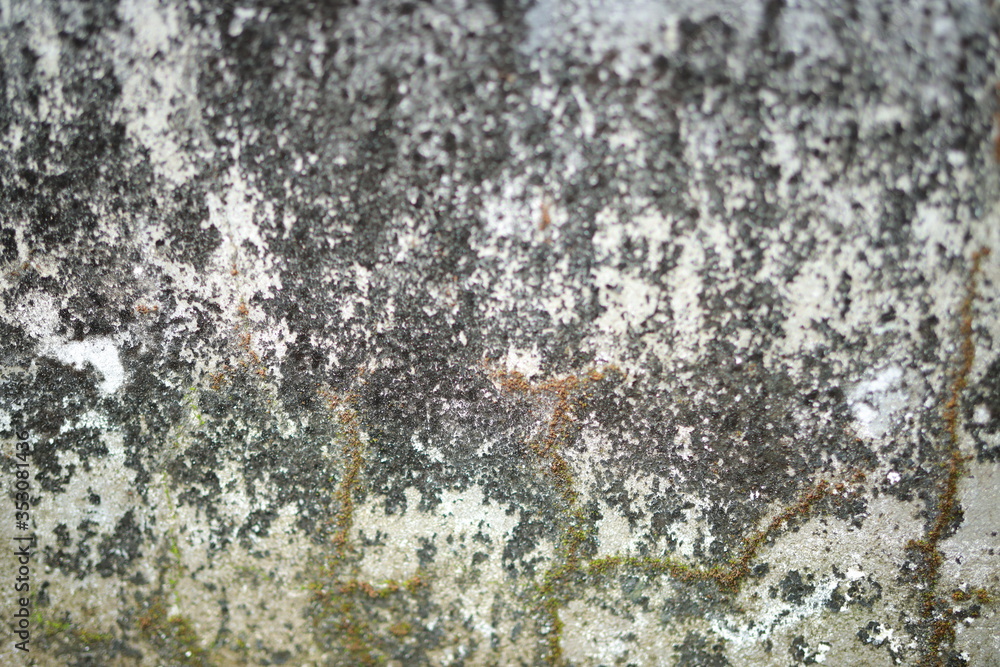 Fototapeta premium White old cement wall concrete backgrounds textured. Abstract vintage texture. Background from cracks, breaks, stains. Grunge cracks, damage