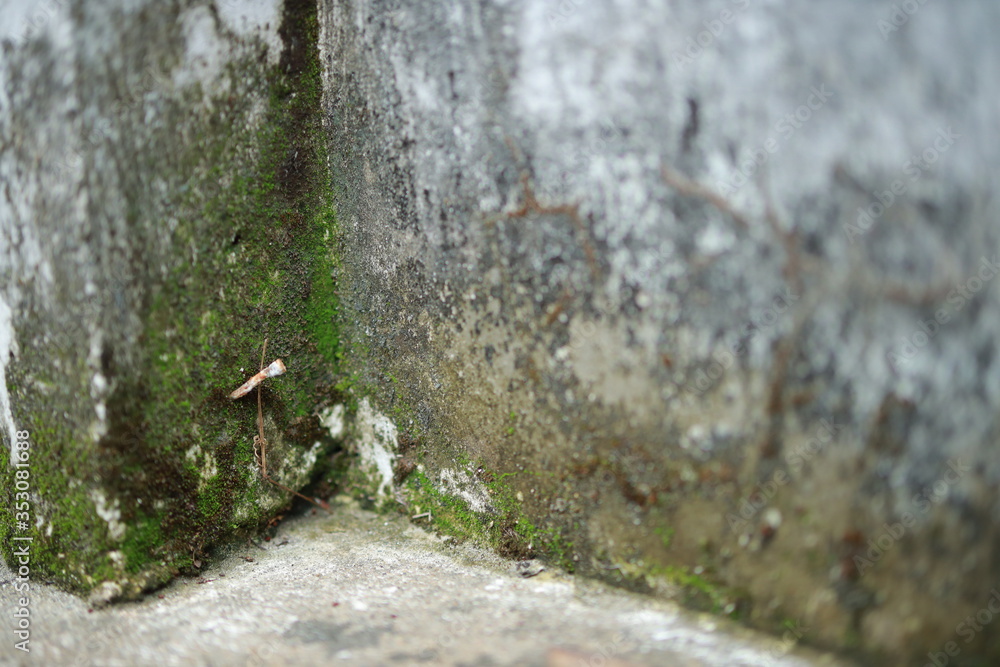 Naklejka premium White old cement wall concrete backgrounds textured. Abstract vintage texture. Background from cracks, breaks, stains. Grunge cracks, damage
