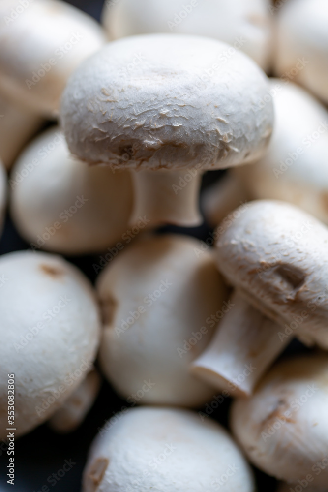 マッシュルーム