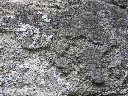 texture surface grunge 