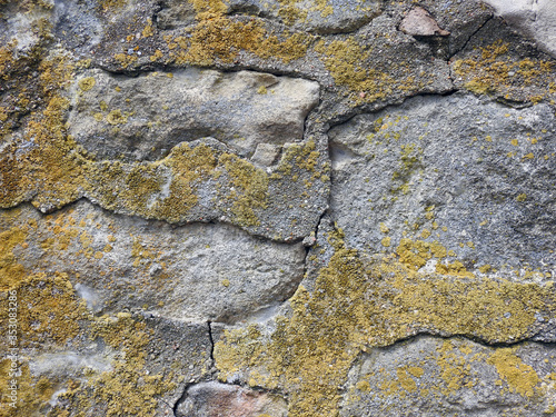 texture surface grunge 