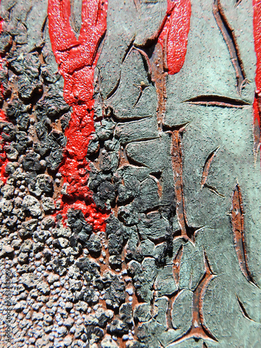 texture surface grunge 