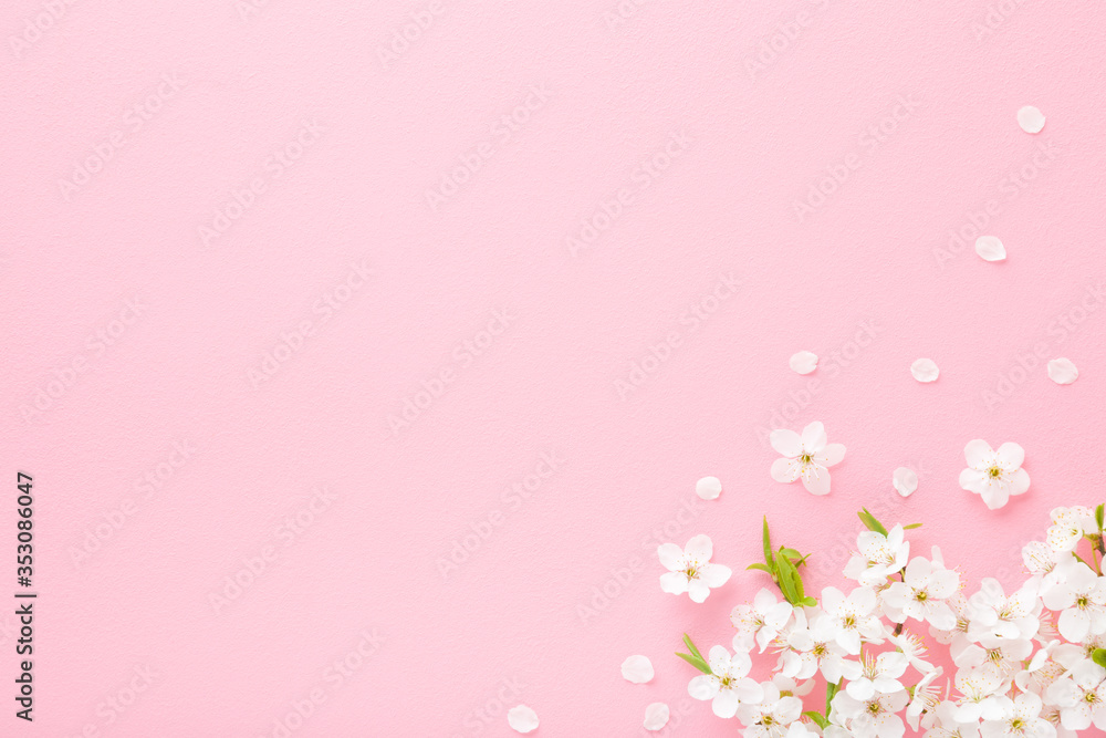 Fresh branches of white cherry blossoms on light pink table background. Pastel color. Flat lay. Closeup. Empty place for inspirational text, lovely quote or positive sayings. Top down view.