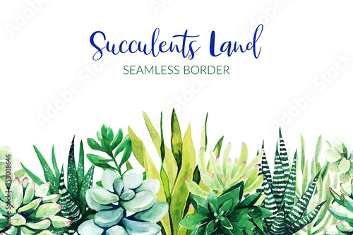 Seamless border composed of succulent plants, hand drawn