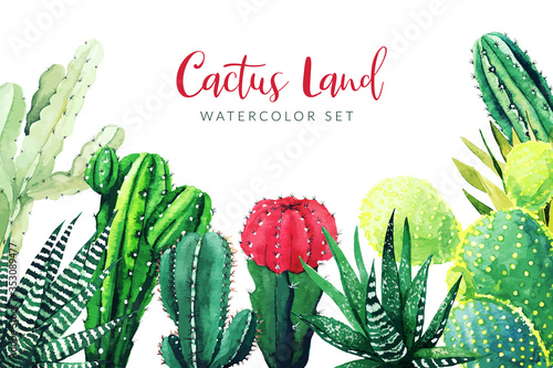 Cactus and succulents plants, horizontal background