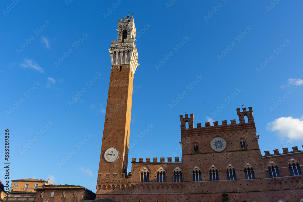 View of the Tower of Mangia in 