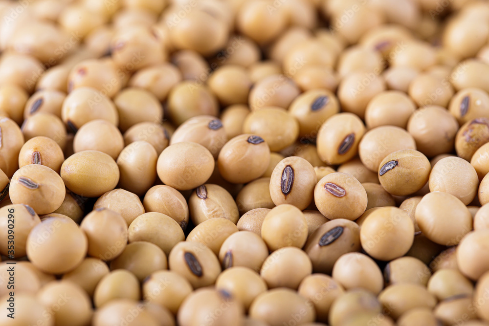 Soybean background. Soybean organic background Soybean background. Soybean organic background
