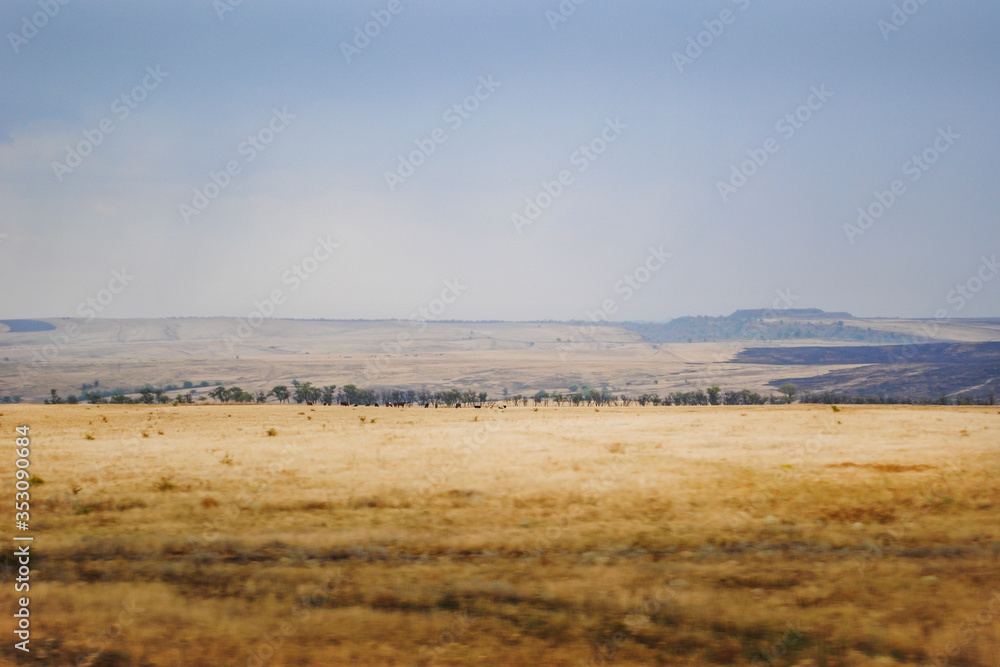 view of wheat fields and pasture view of wheat fields and pasture
