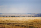 view of wheat fields and pasture
