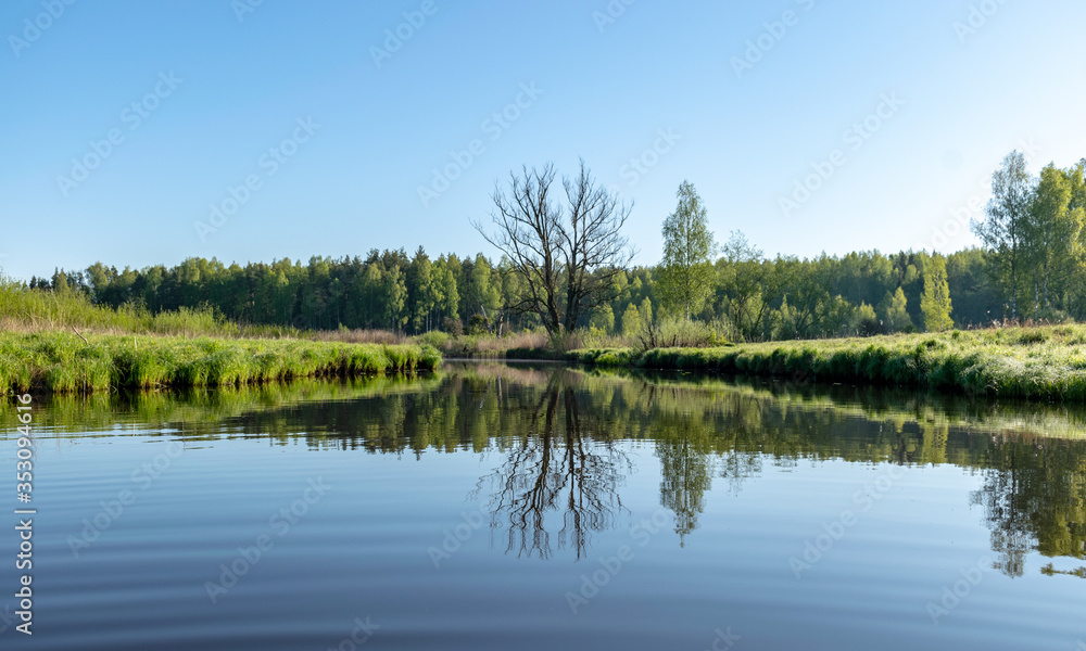 spring landscape with a beautiful calm river, green trees and grass on the river bank, peaceful reflection in the river water