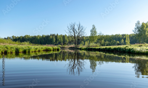 spring landscape with a beautiful calm river, green trees and grass on the river bank, peaceful reflection in the river water