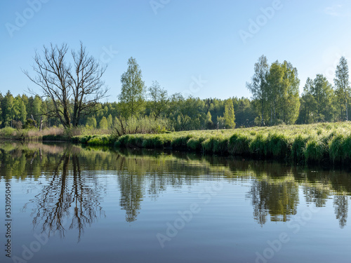 Fototapeta Naklejka Na Ścianę i Meble -  spring landscape with a beautiful calm river, green trees and grass on the river bank, peaceful reflection in the river water