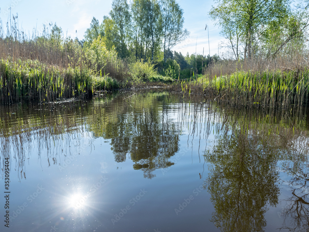 Fototapeta premium spring landscape with a beautiful calm river, green trees and grass on the river bank, peaceful reflection in the river water