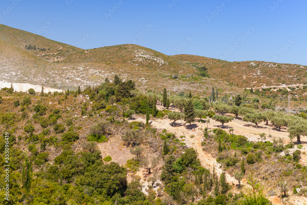 Coastal rural landscape with olive trees at sunny day