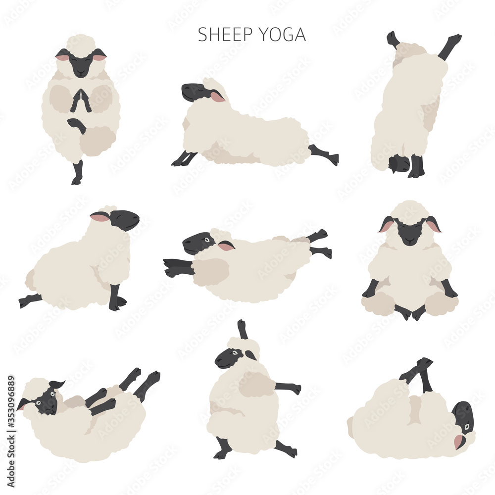 Sheep yoga poses collection. Farm animals set. Flat design - obrazy, fototapety, plakaty 