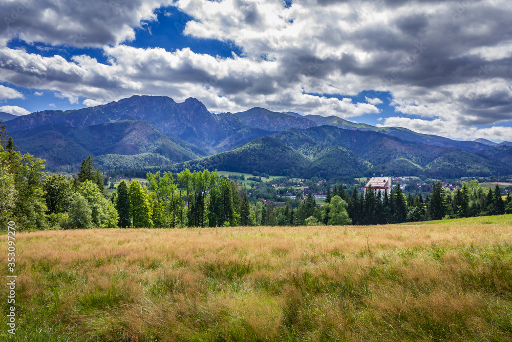 Surroundings of the city of Zakopane. View of the Tatra Mountains. Surroundings of the city of Zakopane. View of the Tatra Mountains.
